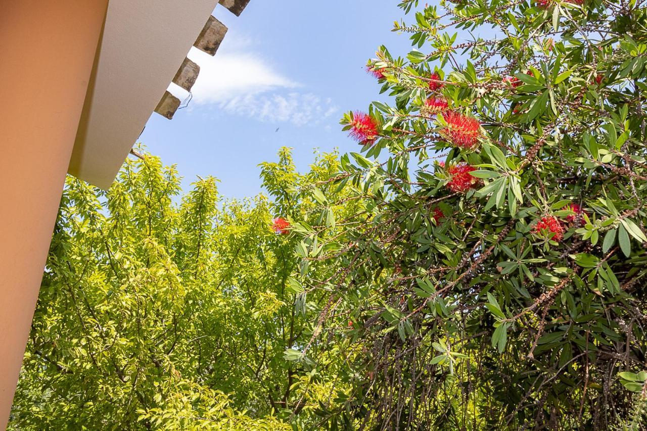 Villa Caterina La Maddalena  المظهر الخارجي الصورة